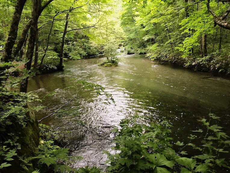 青森 奥入瀬渓流